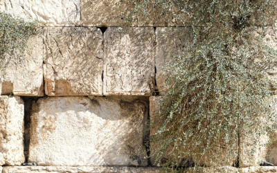 Le peuple juif : du retour d’exil à la destruction de Jérusalem, histoire d’une refondation